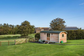 Teasel Shepherd's Hut